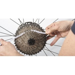 Limpieza Sistema de Transmición